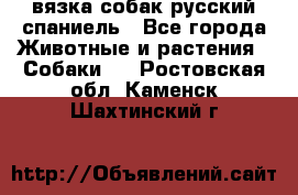 вязка собак русский спаниель - Все города Животные и растения » Собаки   . Ростовская обл.,Каменск-Шахтинский г.